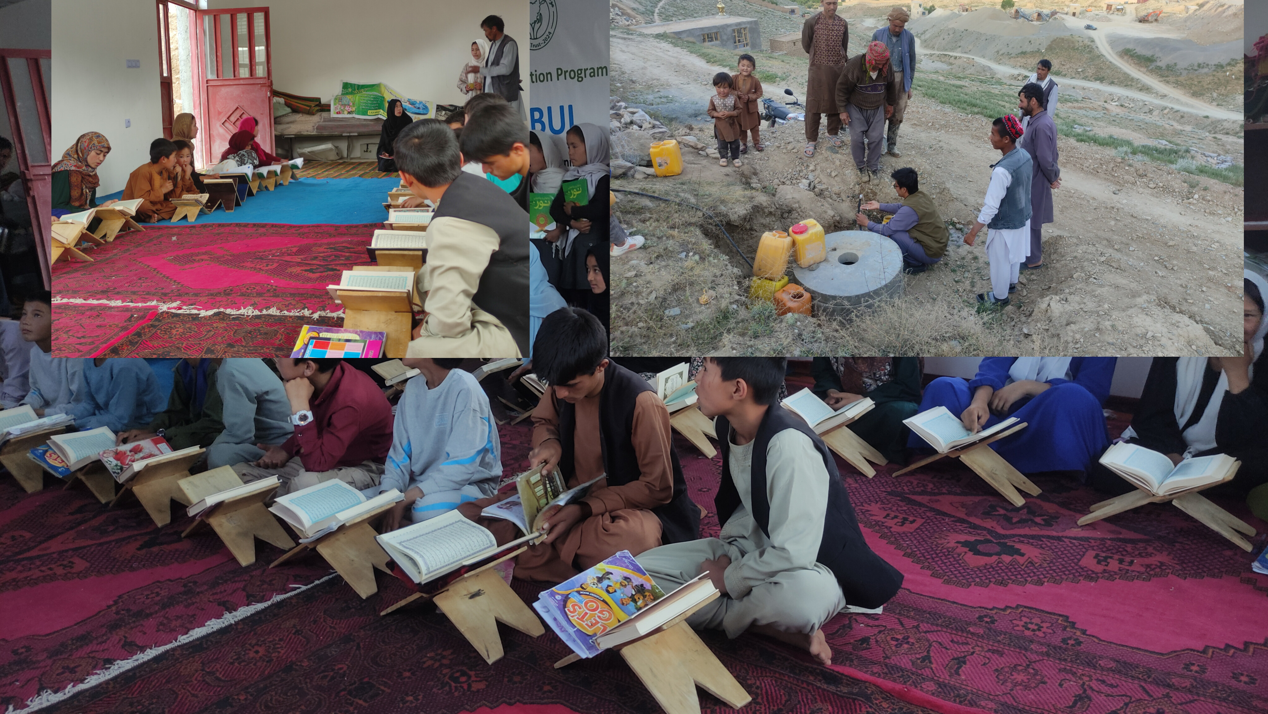 Program Impact